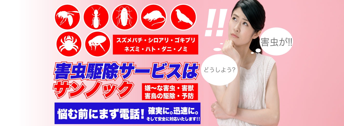 害虫駆除サービスはサンノック 嫌～な害虫・害獣・害鳥の駆除・予防 スズメバチ・シロアリ・ゴキブリ・ネズミ・ハト・ダニ・ノミ 悩む前にまず電話！ 確実に。迅速に。そして安全に対応いたします！！