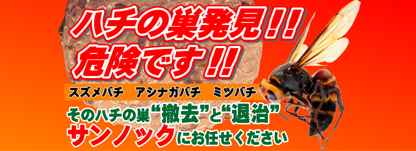 ハチの巣発見！！危険です！！ そのハチの巣“撤去”と“退治”サンノックにお任せください